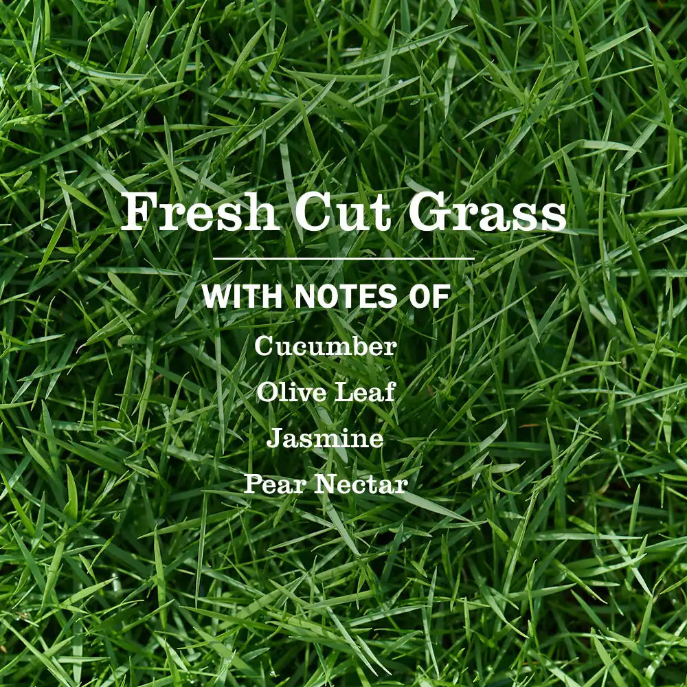 Fresh Cut Grass Plug In Scented Oil Refill, 2-Pack