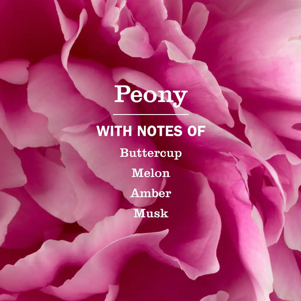 Peony Liquid Hand Soap & Refill Set