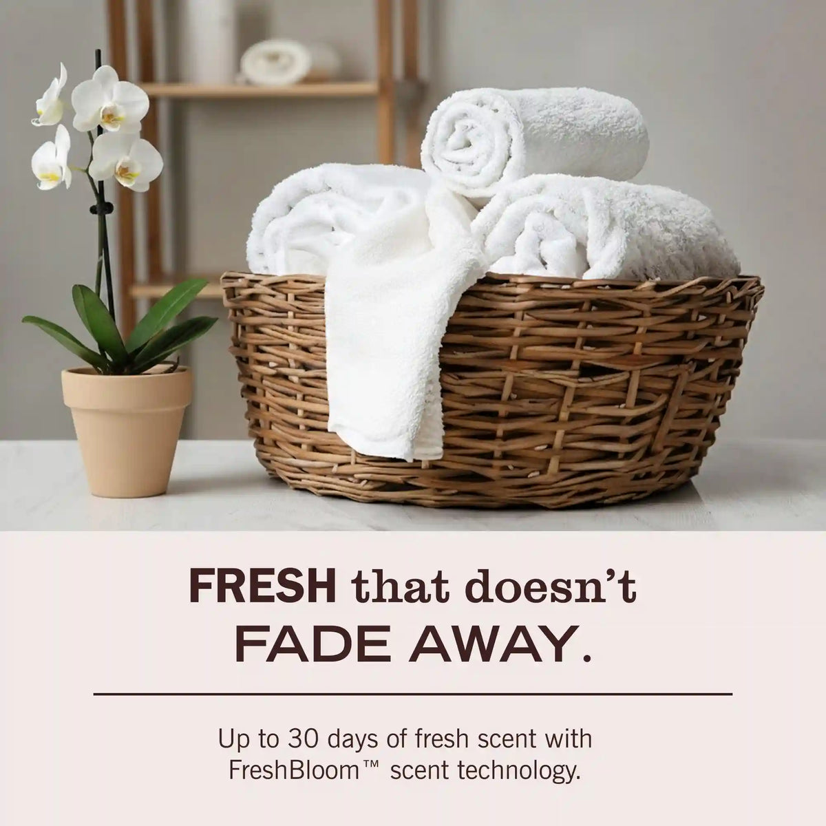 Basil Laundry Detergent