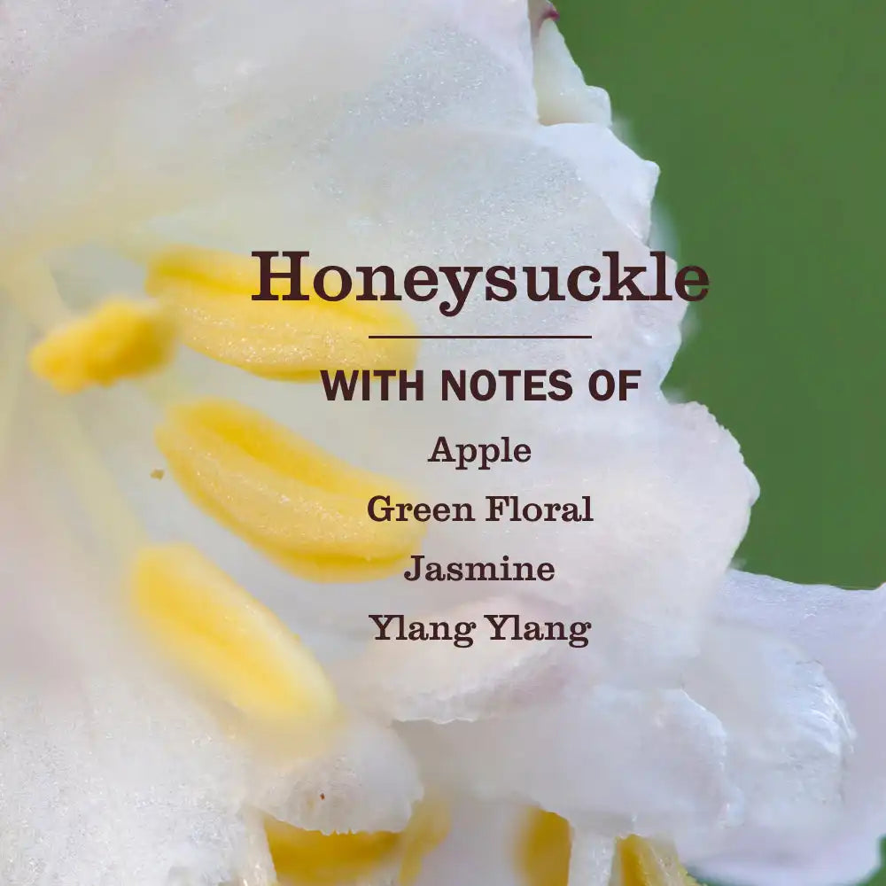 Honeysuckle Fabric Softener