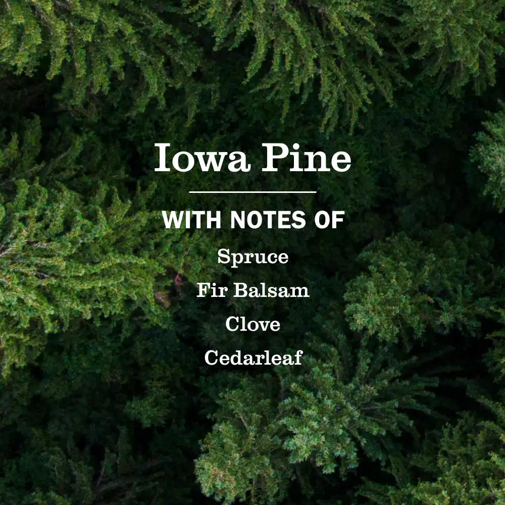 Iowa Pine Liquid Hand Soap 3-count Bundle