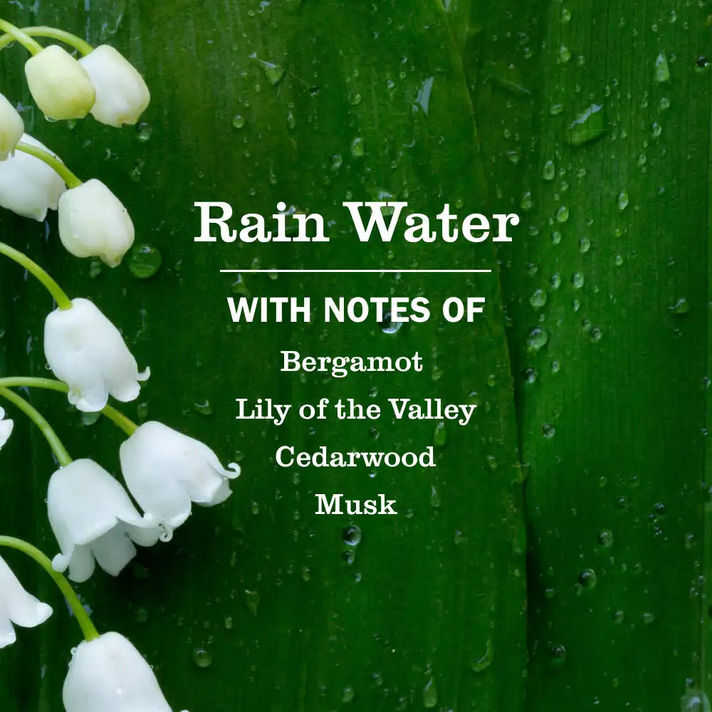 Rain Water Fabric Freshener